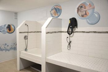 Dog Washing Station